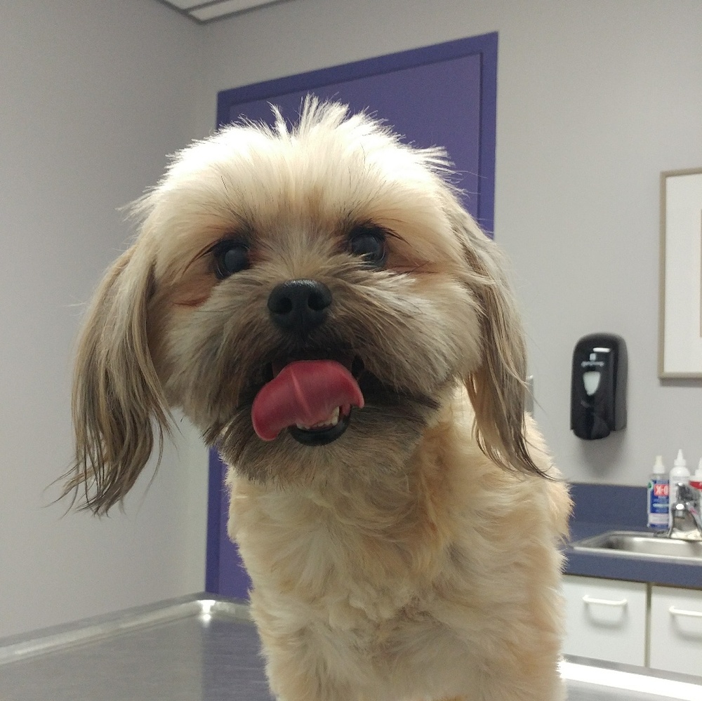 Meet your Posher, Arlene